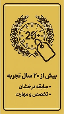 20 سال تجربه